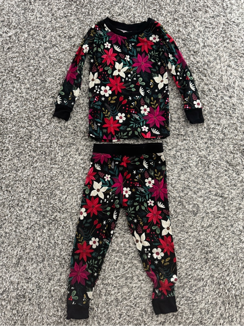 Little Sleepies Berry Merry Two-Piece Set (12-18 mo)